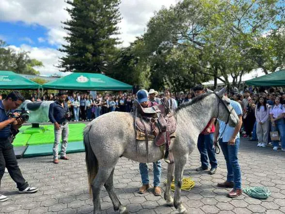 UNIOVERSIDADES--(21)_21_11zon