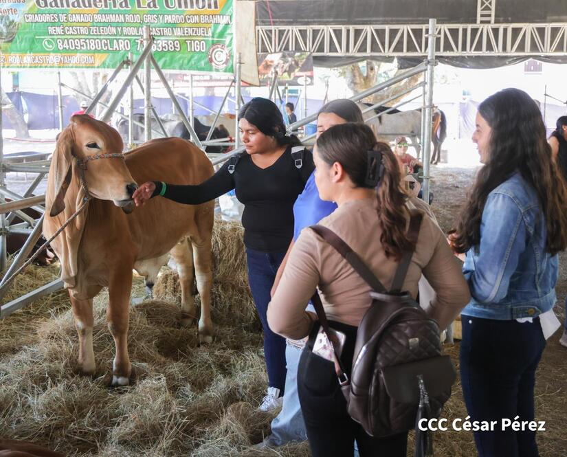 Feria-Ganadera--(16)