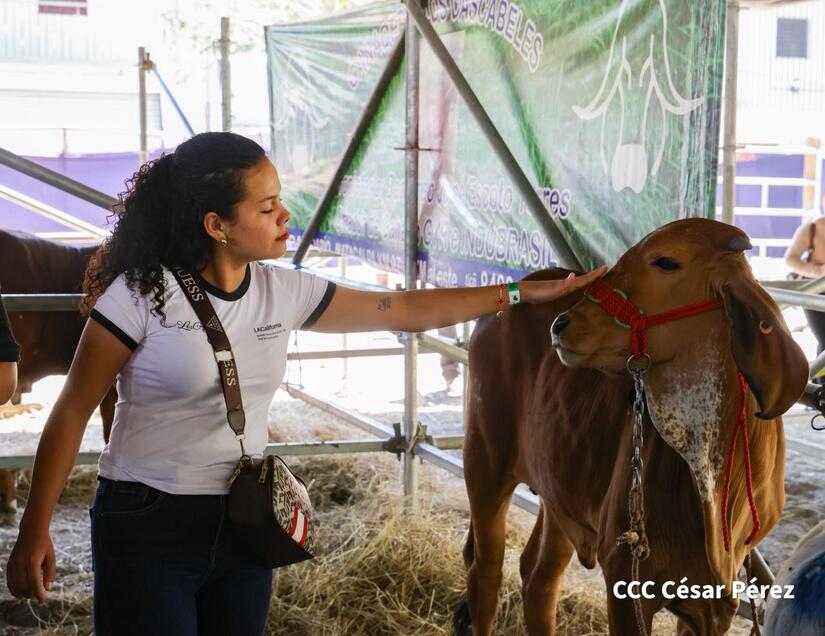 Feria-Ganadera--(26)