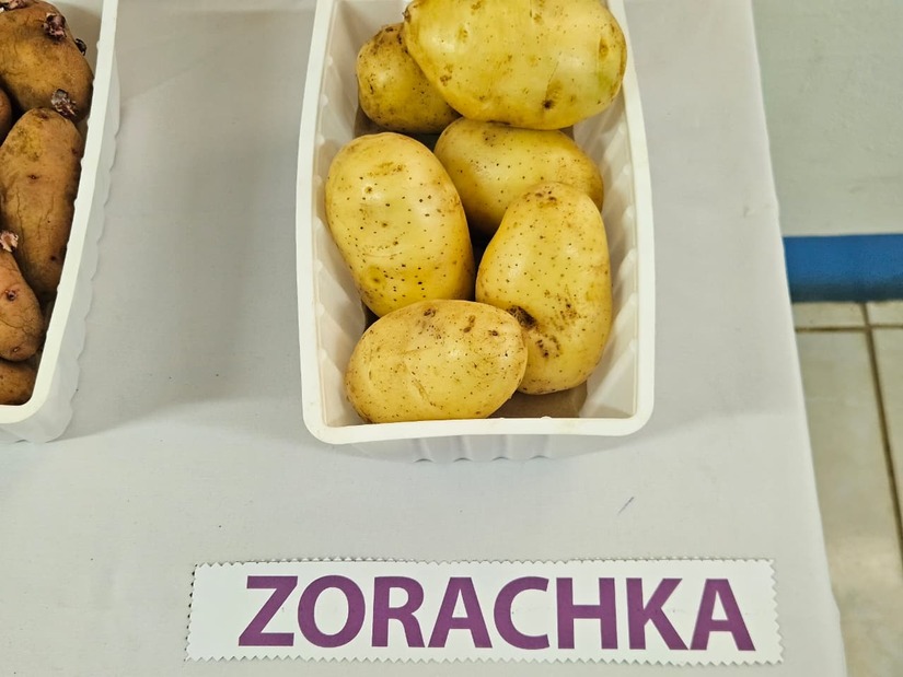 Comunicadores-Belarus--(10)