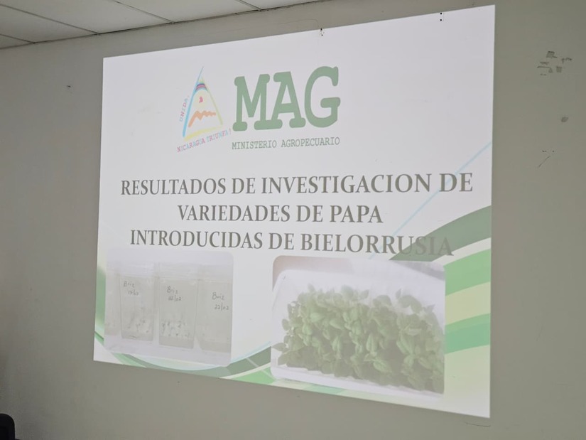 Comunicadores-Belarus--(6)