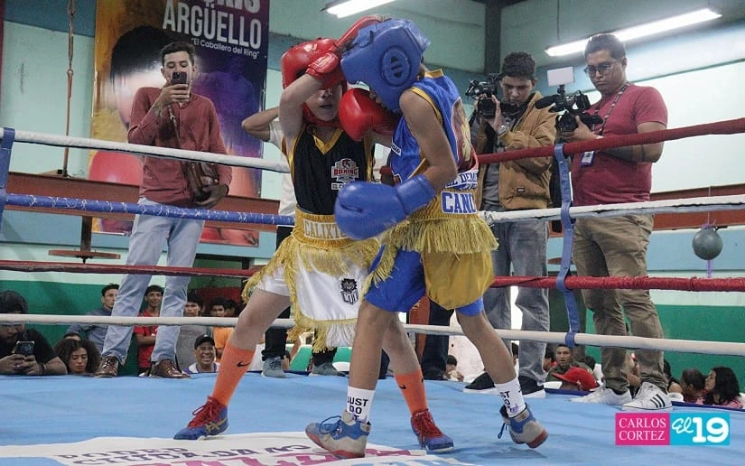 BOXEO7