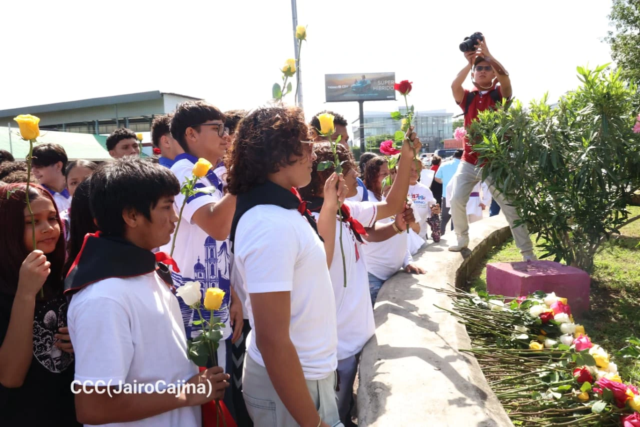 FLORES29
