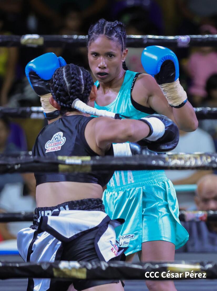 Boxeo--(13)