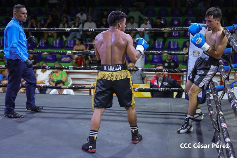 Boxeo--(26)