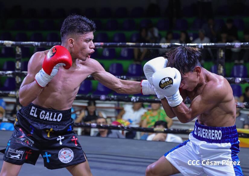 Boxeo--(41)