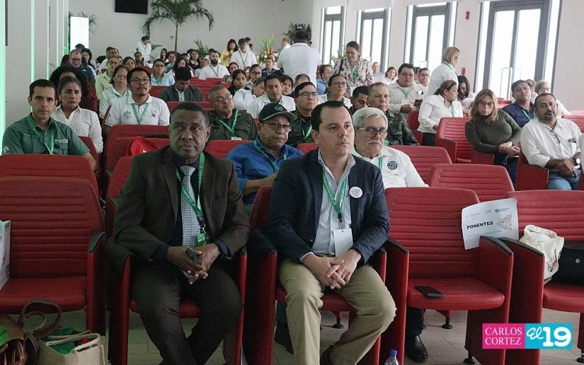 IPSA16