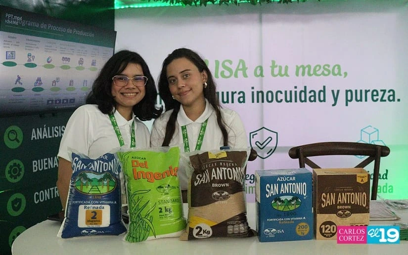 IPSA3