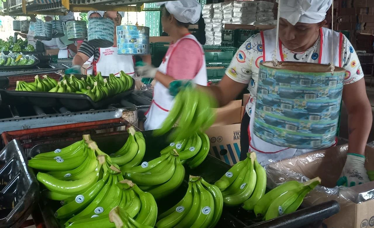 BANANO3