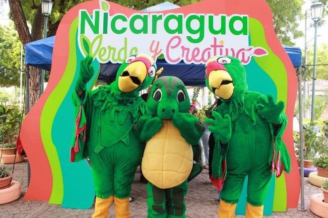 VERDE6