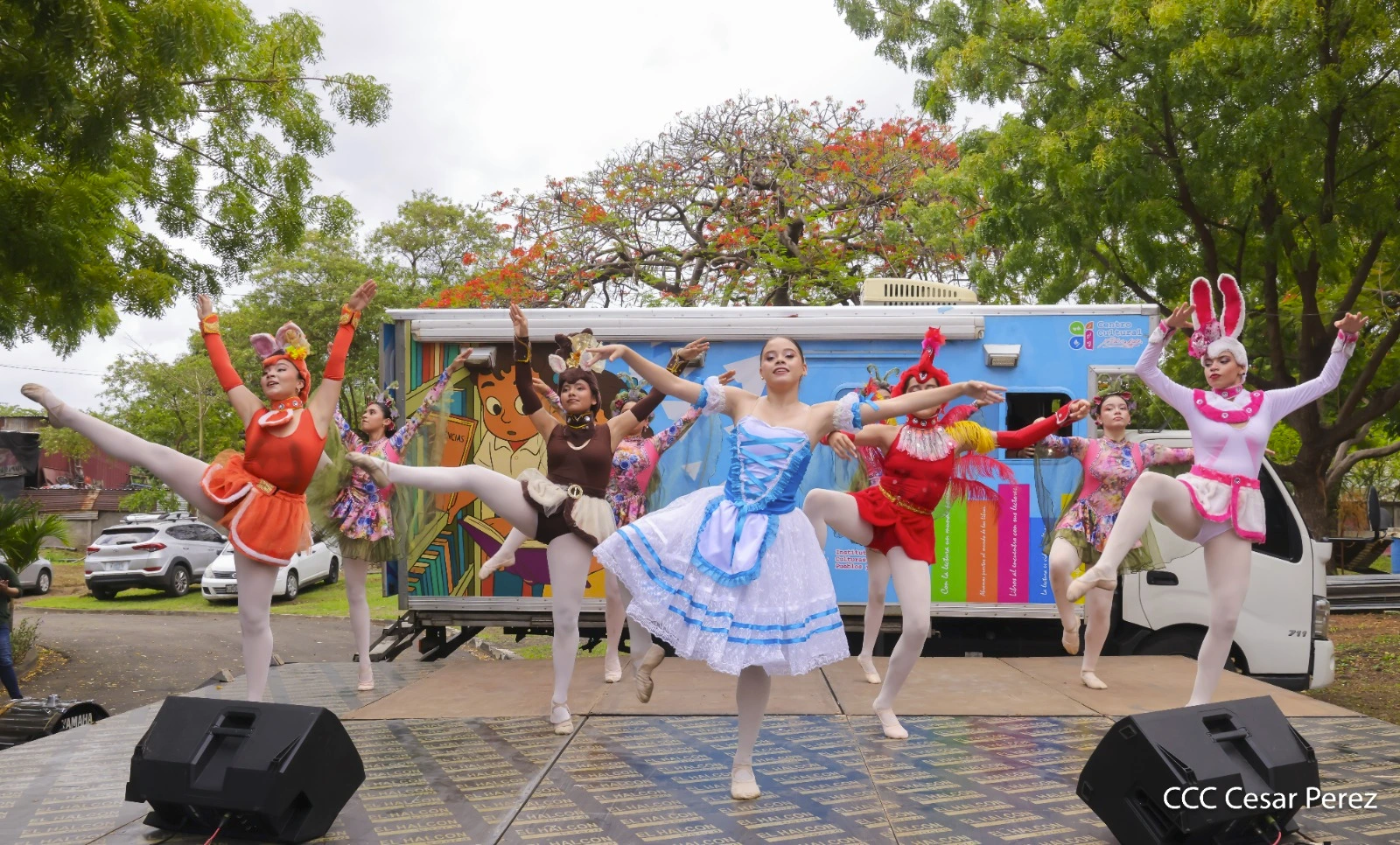 CARNAVAL-(17)