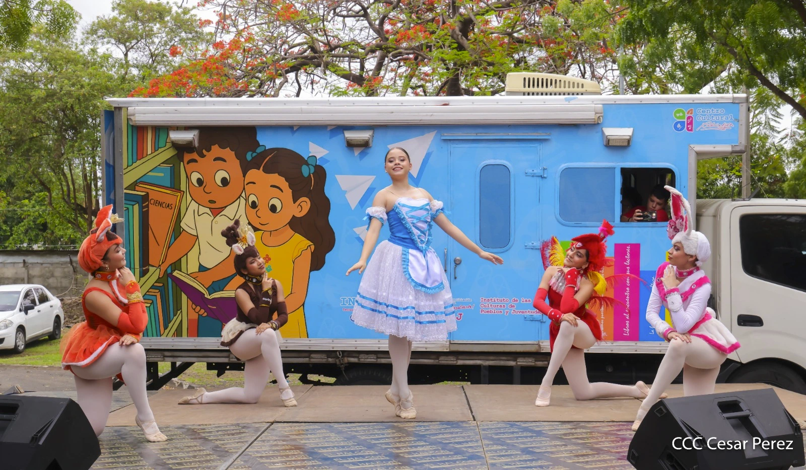 CARNAVAL-(19)