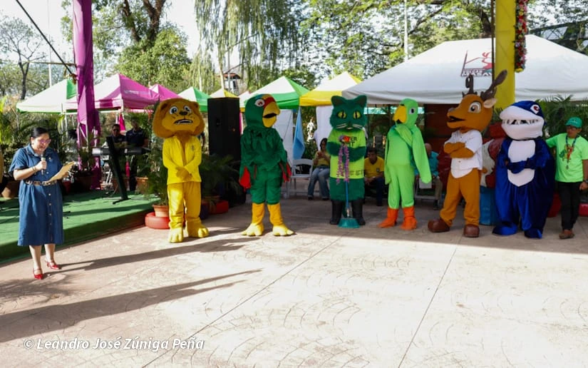 VERDE-(16)