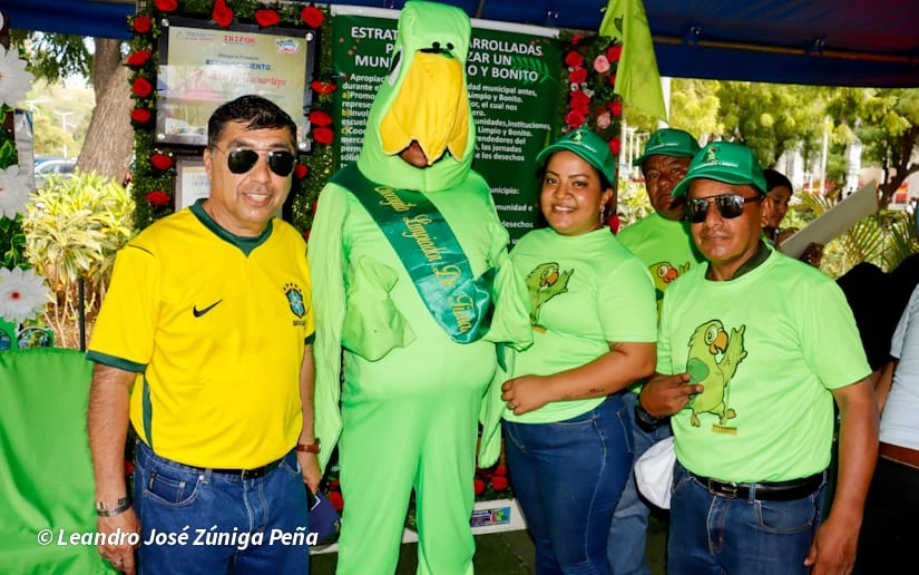 VERDE-(6)