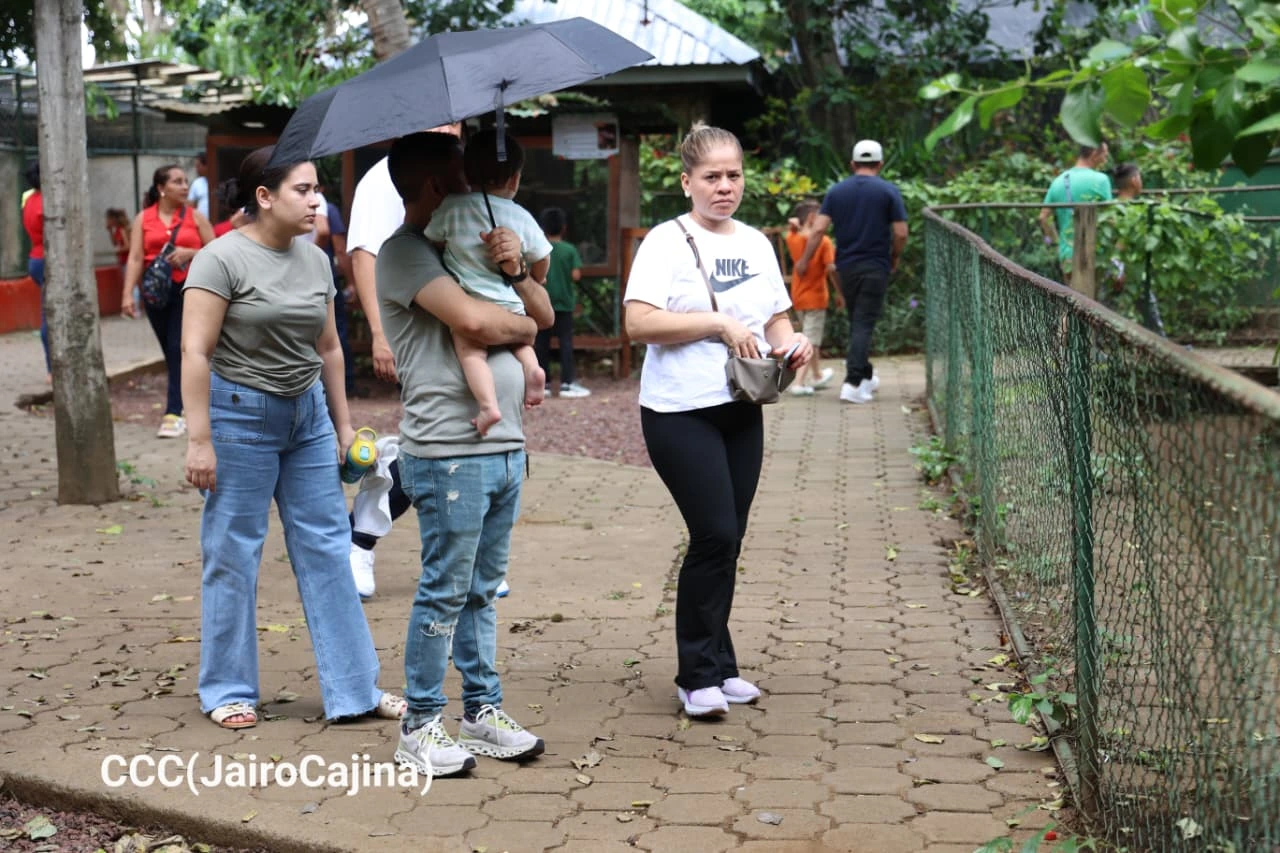 ZOOLOGICO-(12)