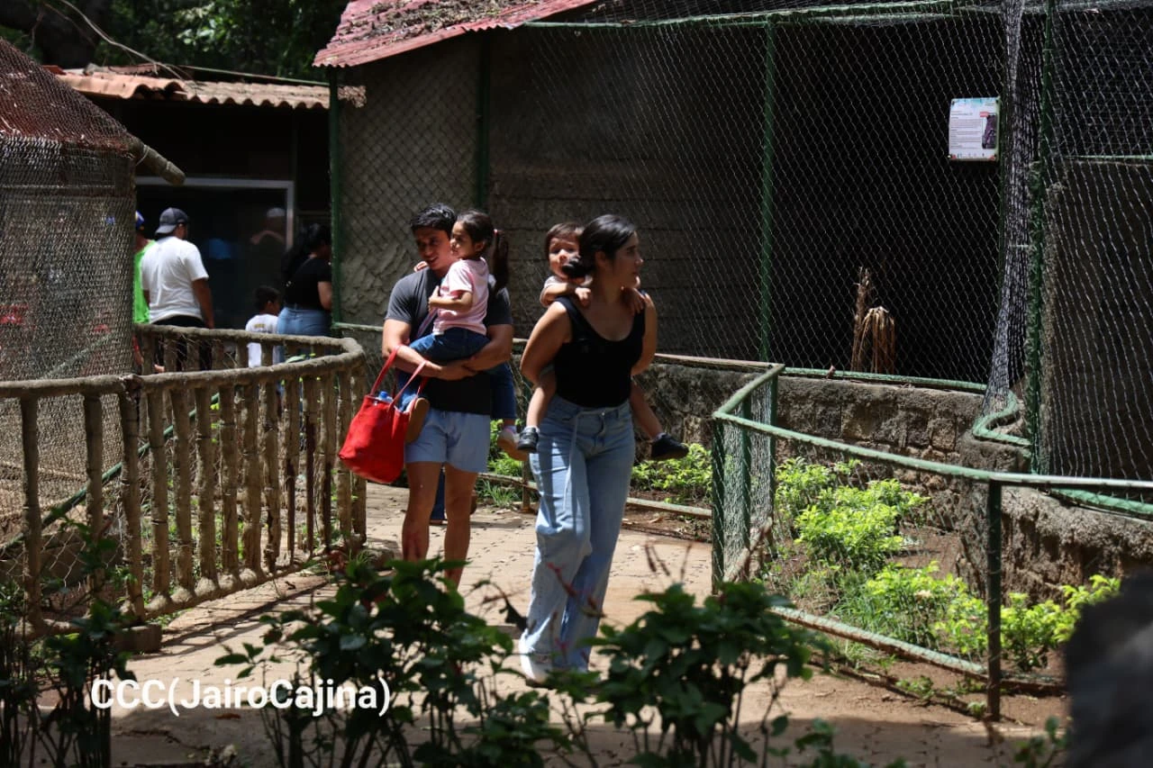 ZOOLOGICO-(25)