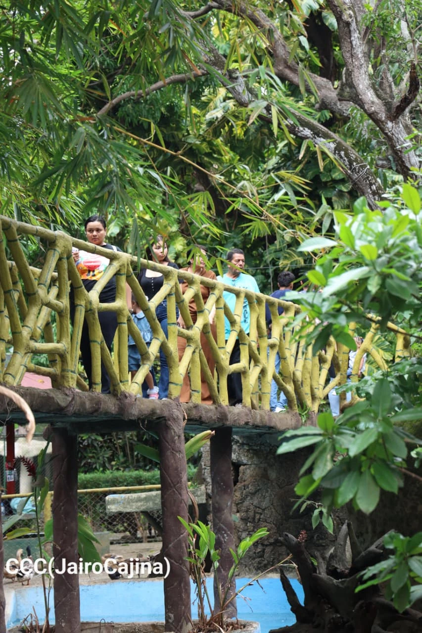 ZOOLOGICO-(26)