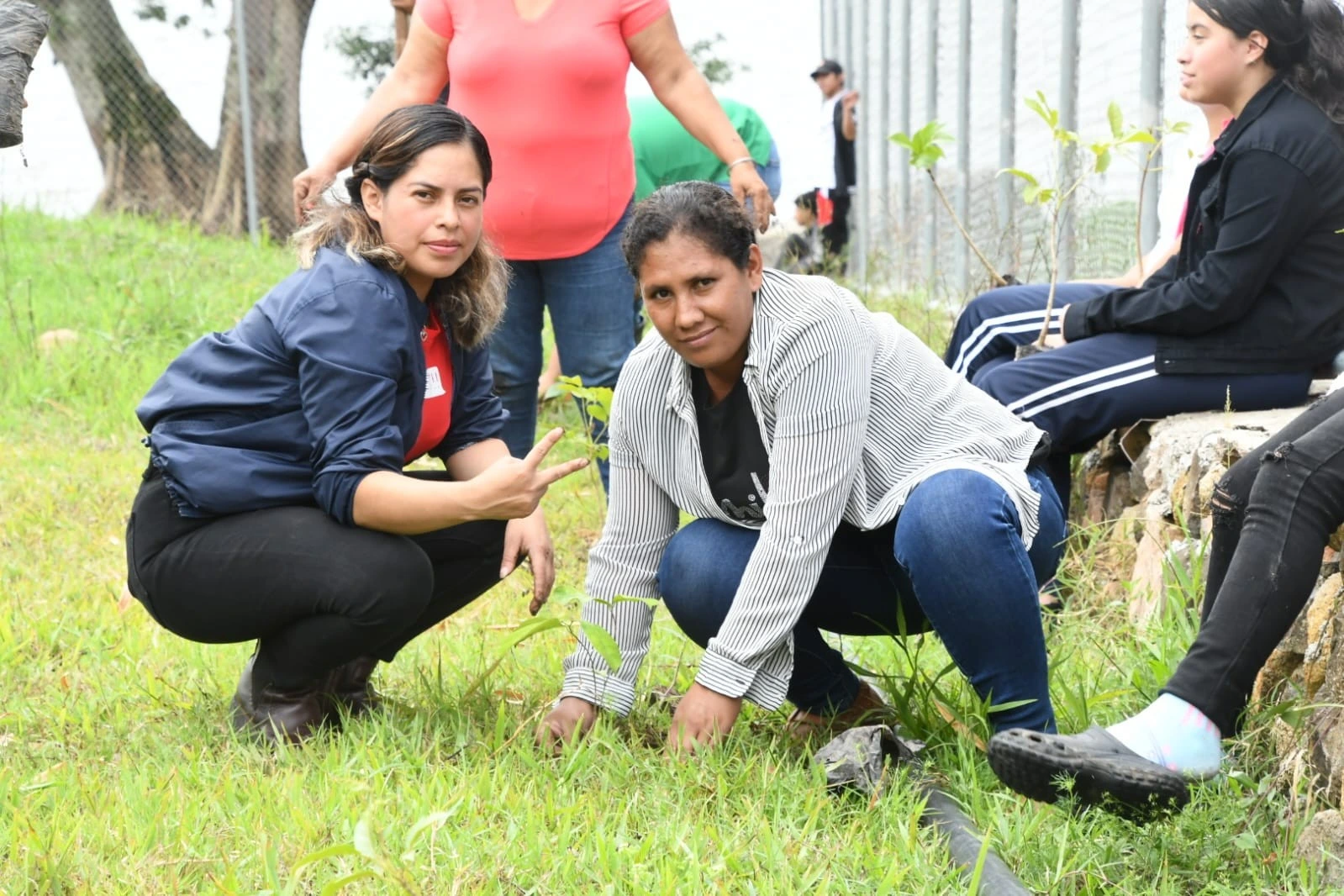 HUMEDALES6