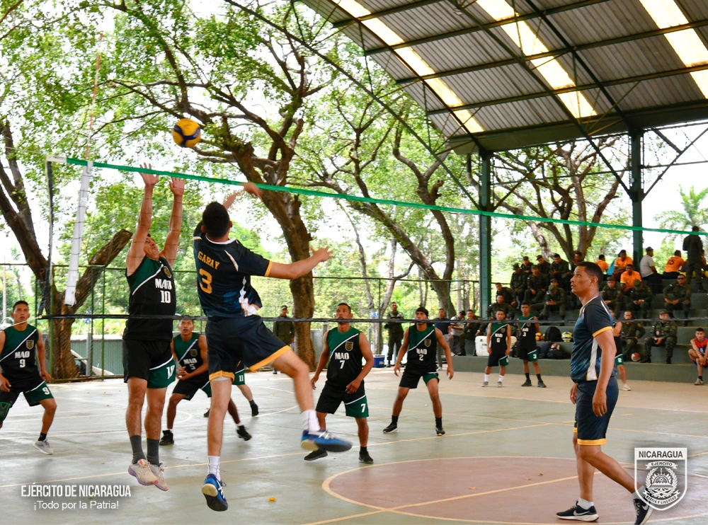 VOLEIBOL8