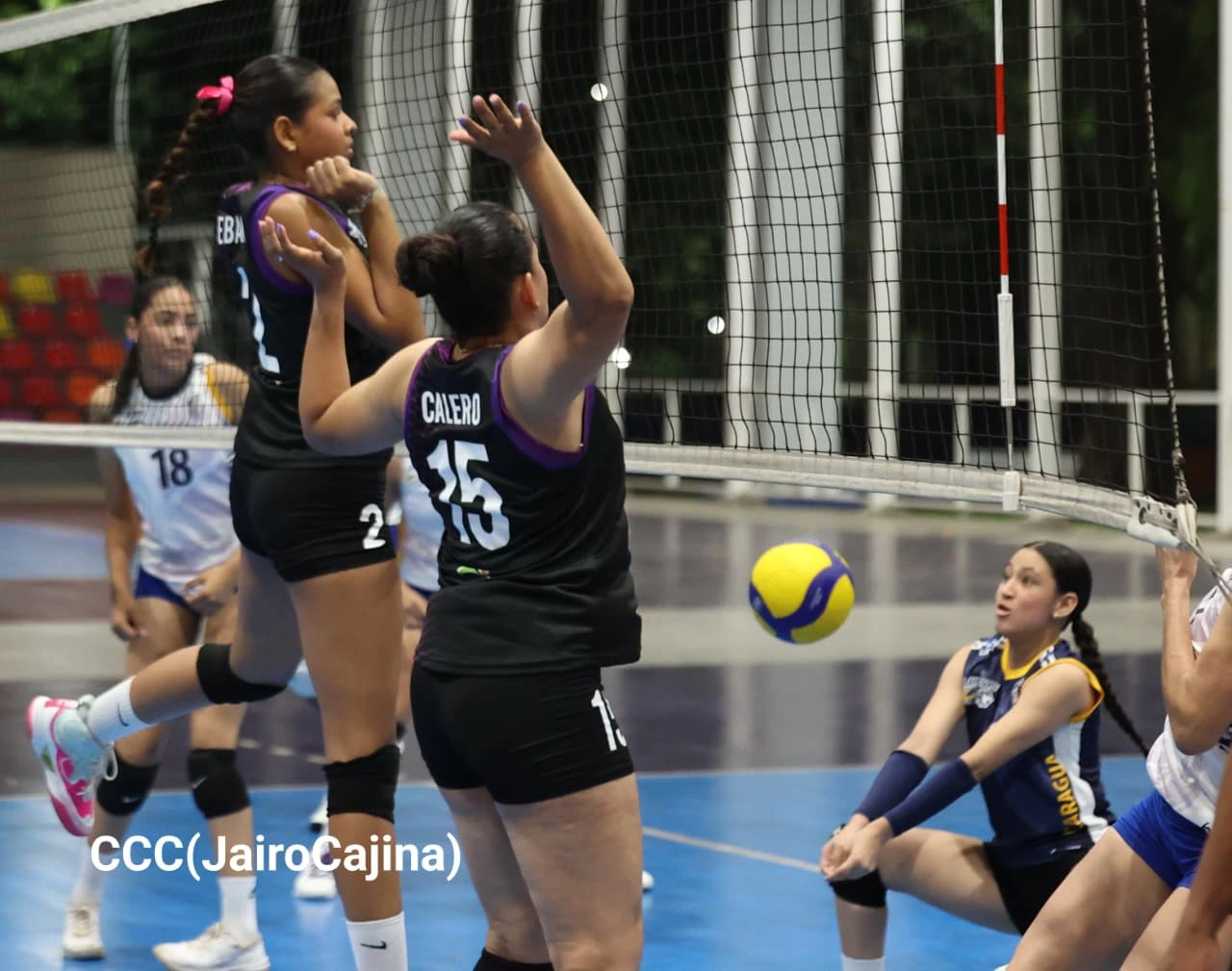 VOLEI-(1)