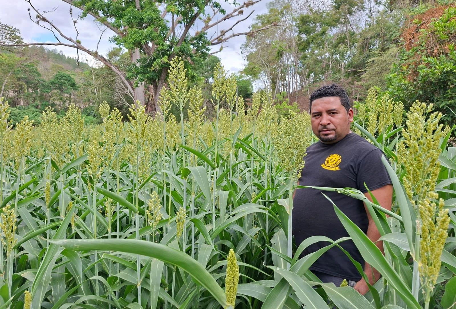 SORGO4