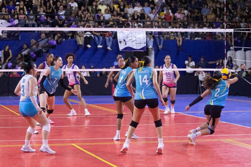 Voleibol--(9)