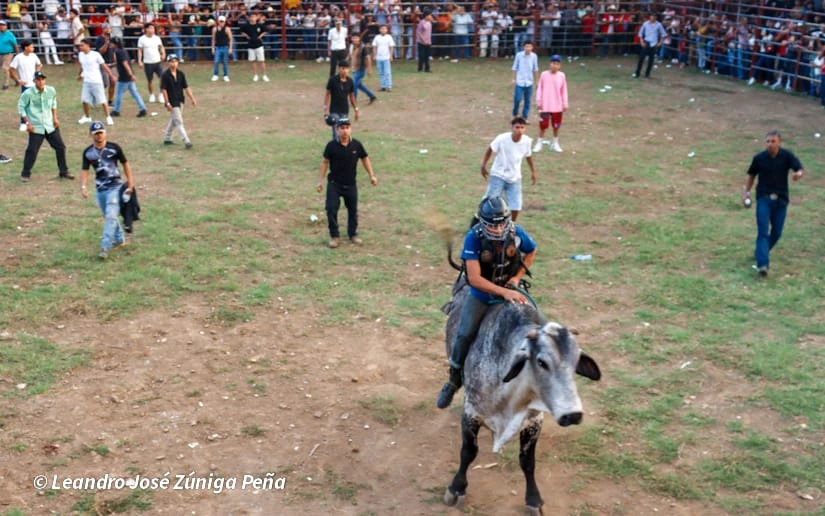 TOROS-(16)