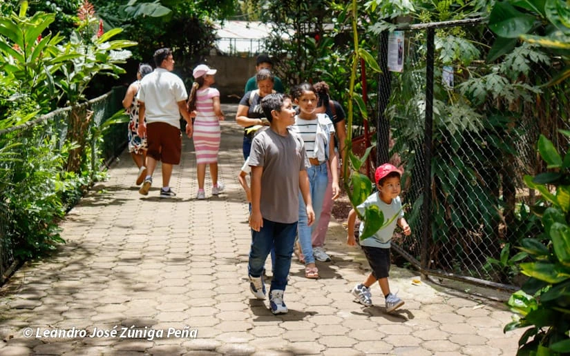 ZOOLOGICO-(22)