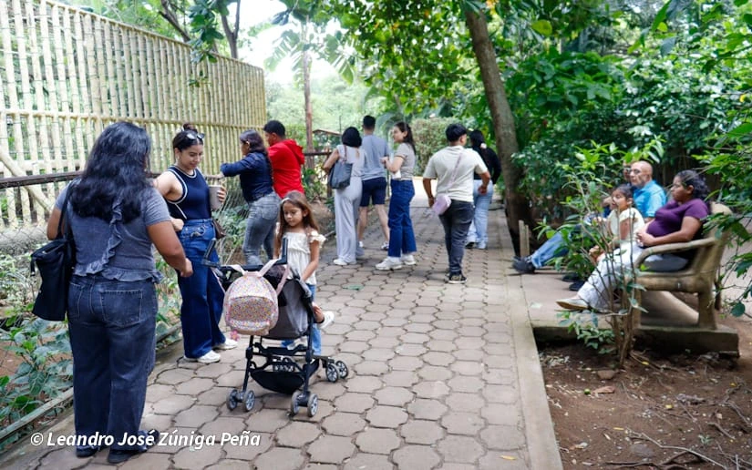 ZOOLOGICO-(3)