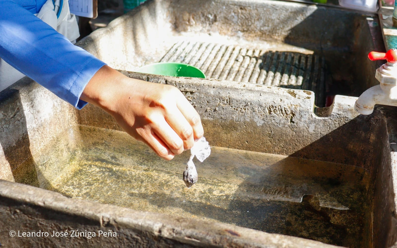 LUCHA-ANTIEPIDEMICA5