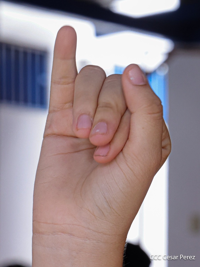 Lenguaje-de-senas--(6)