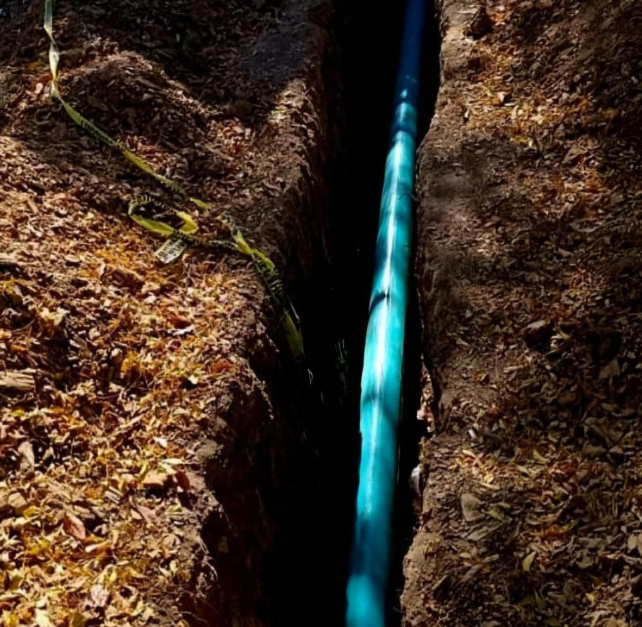 WhatsApp-Image-2026-03-16-at-3-16-16-PM