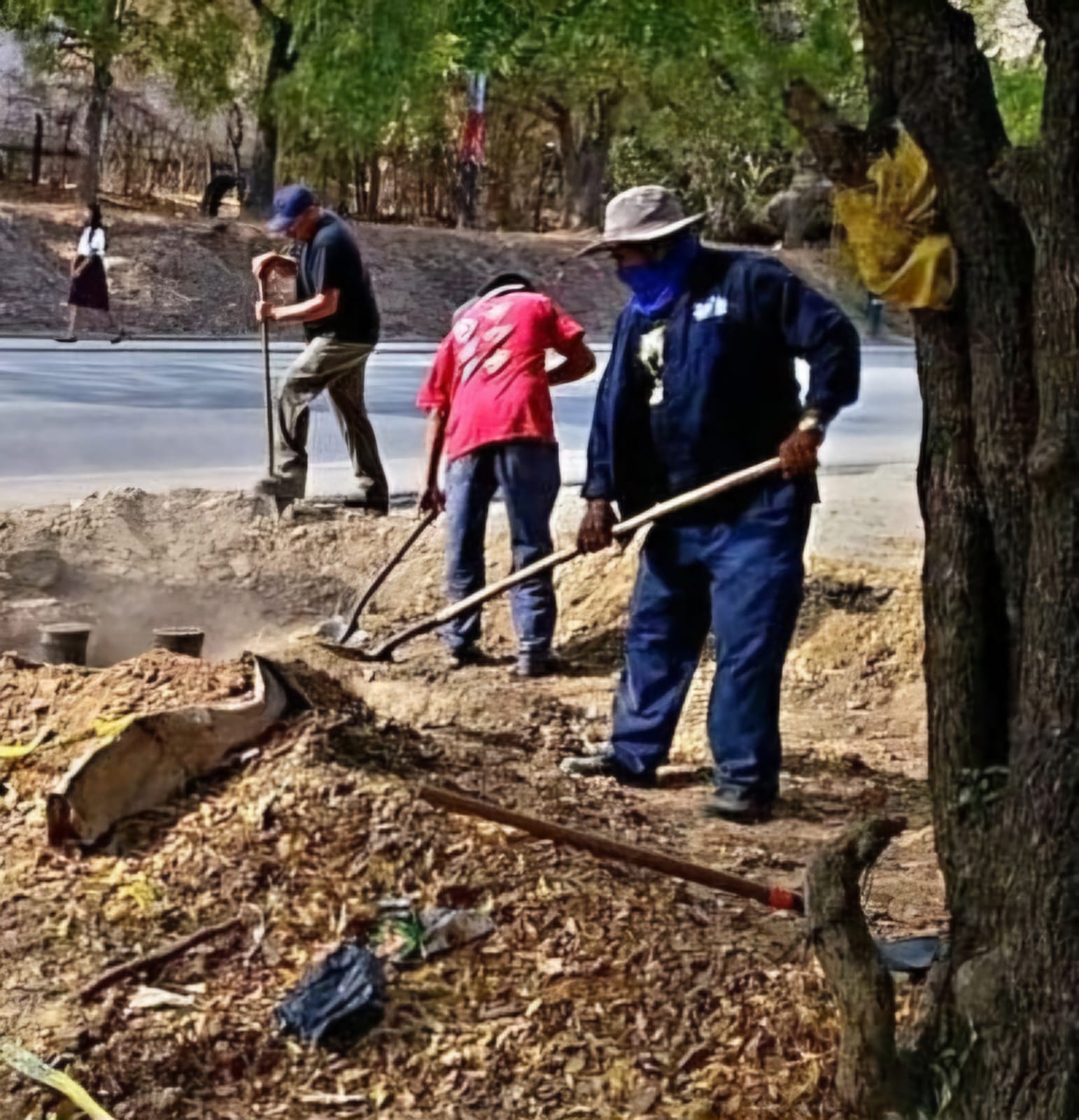 WhatsApp-Image-2026-03-16-at-3-16-17-PM-(2)