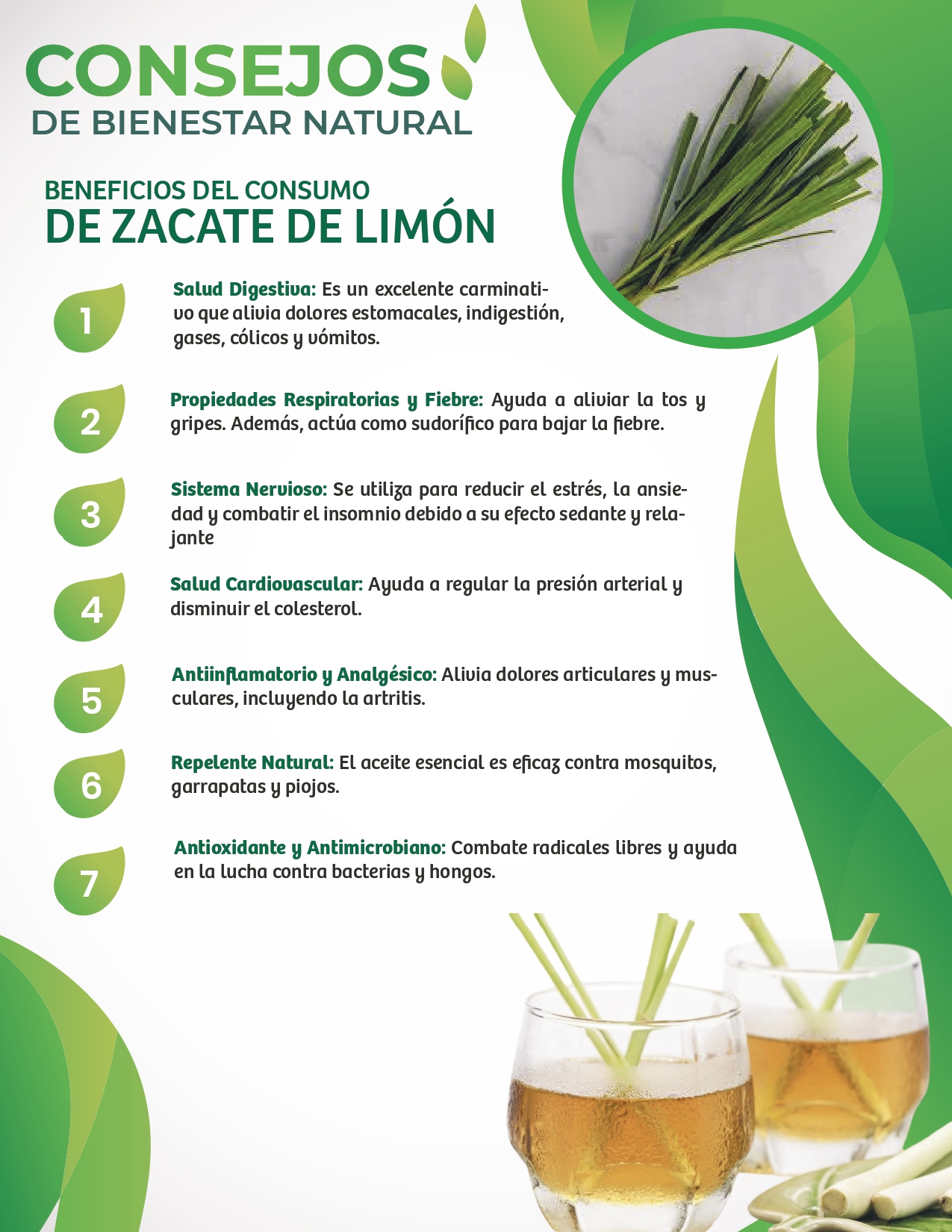 BOLETIN-INFORMATIVO-DEL-09-AL-15-DE-MARZO---MITRIO-PARA-LA-PROMOCION-DE-EMPRENDIMIENTOS-VFINAL_page-0013