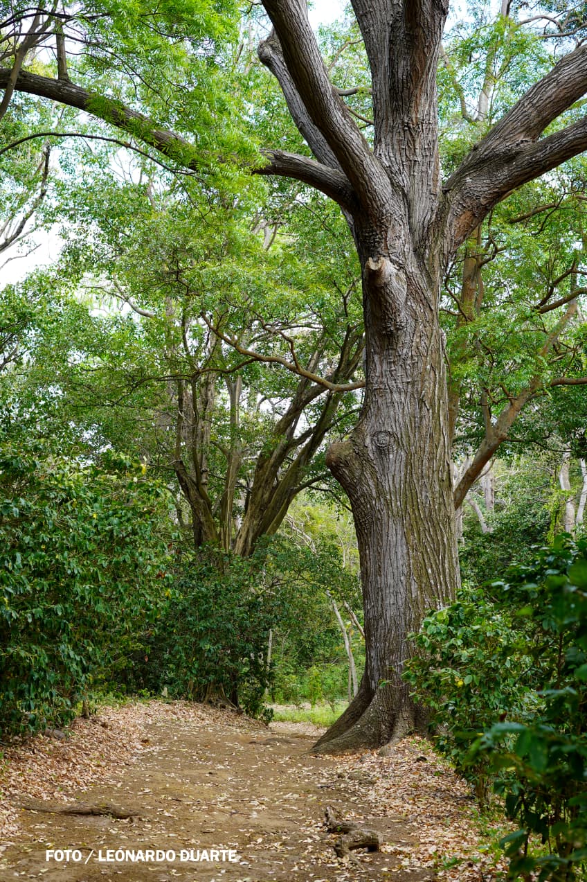 Vacaciones-Semana-Santa--(4)