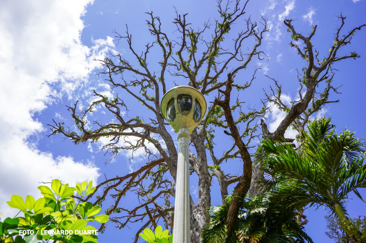 Vacaciones-Semana-Santa--(55)