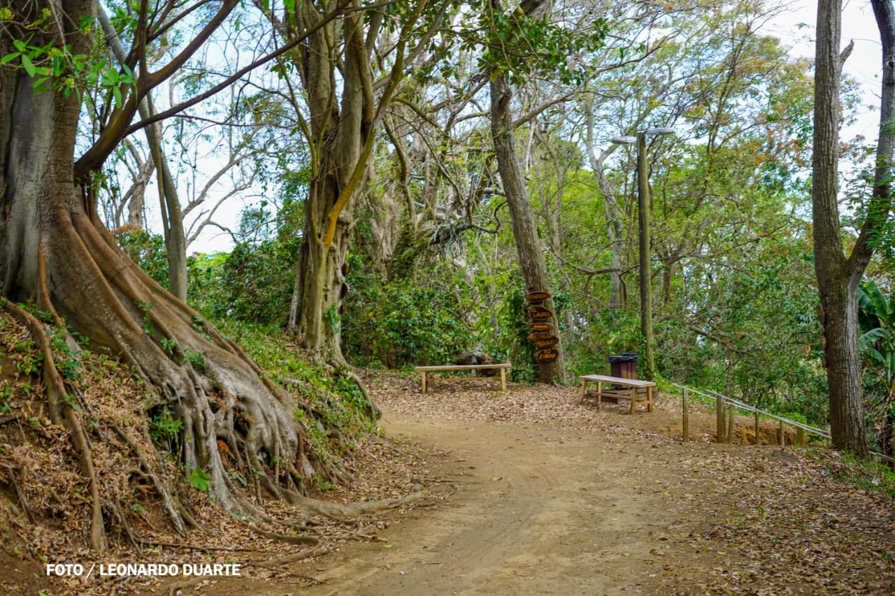 Vacaciones-Semana-Santa--(65)