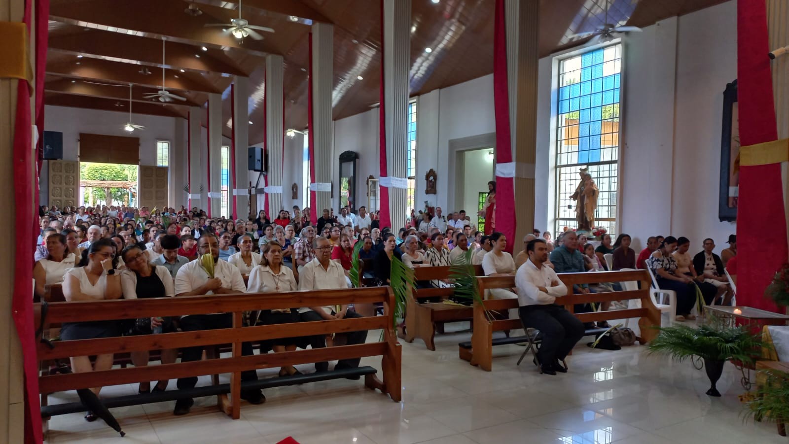 ESTELI-(24)