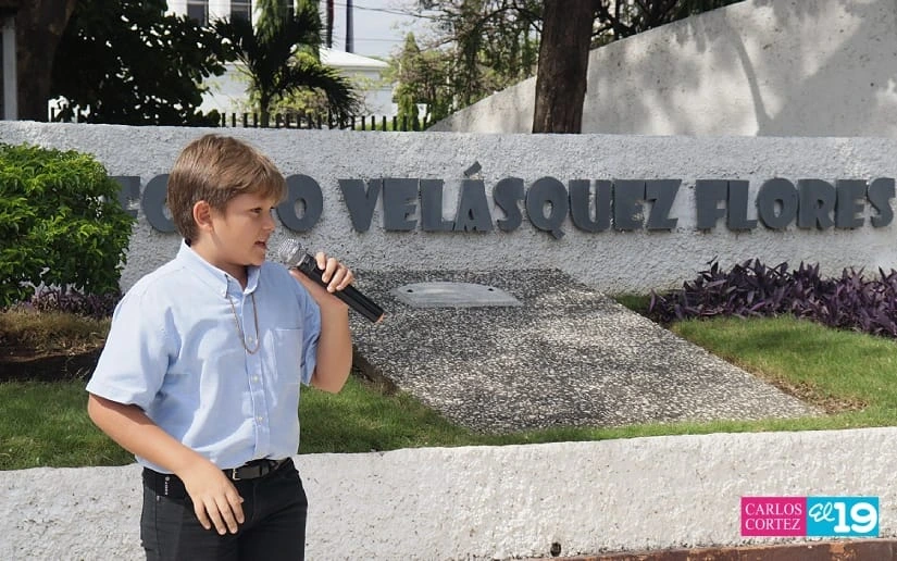 LUIS-(12)