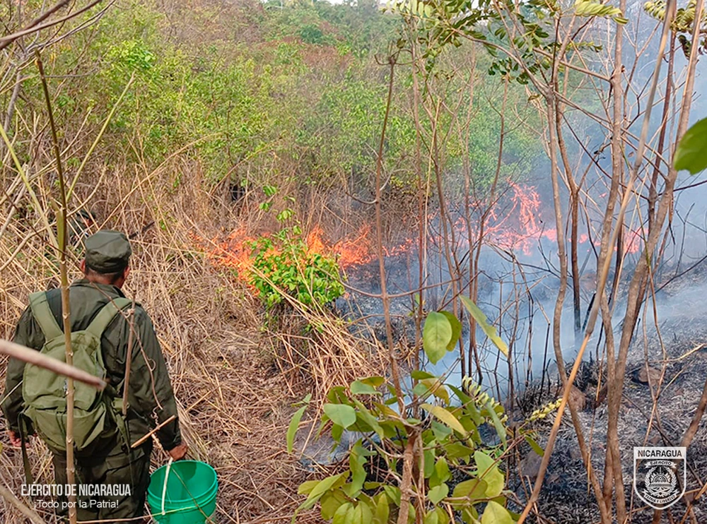 INCENDIO1
