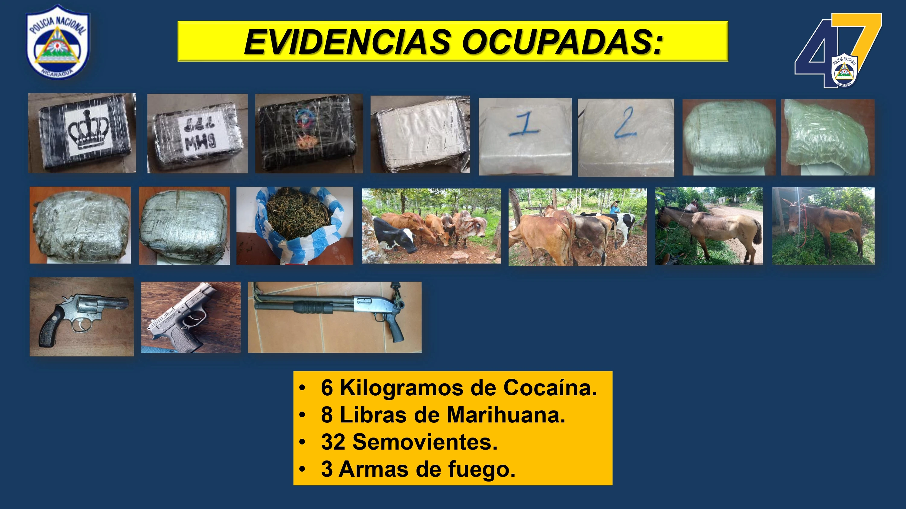 CAMPO7