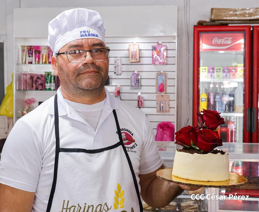 Pasteles-12
