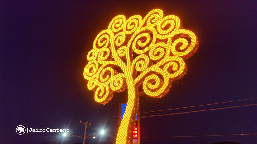 Arbol-de-la-vida--(33)