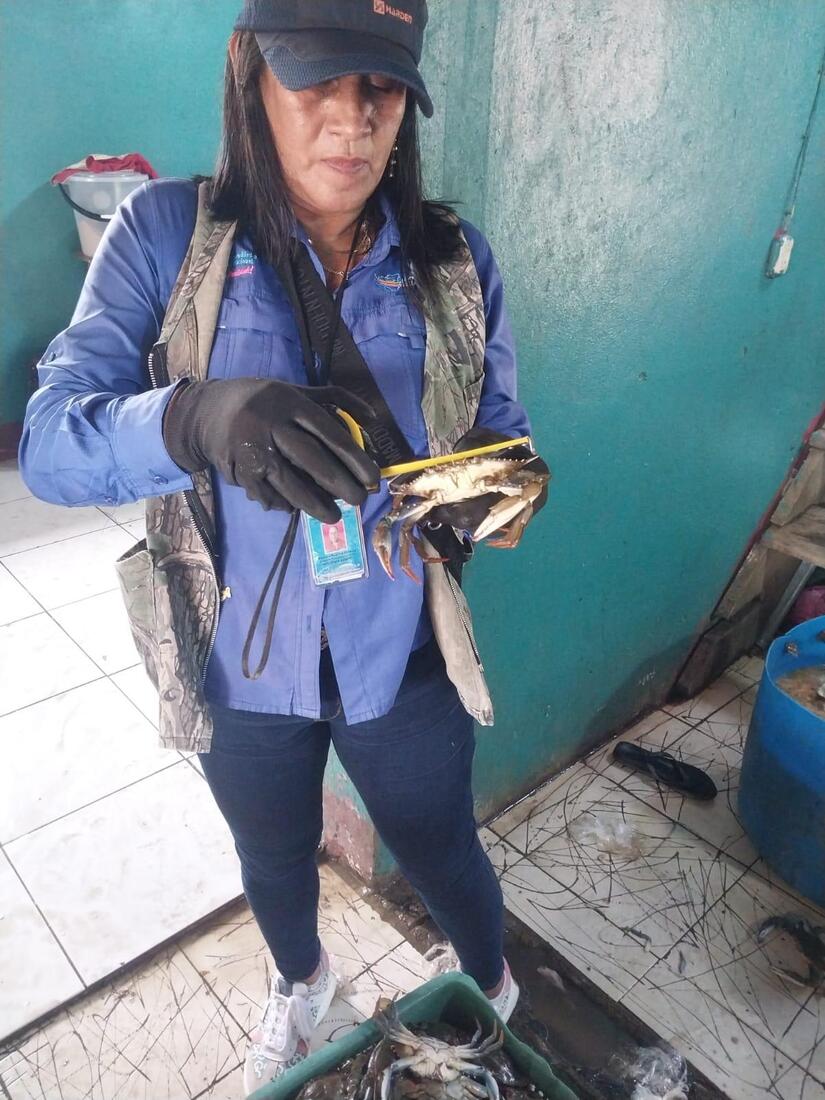 INPESCA-7