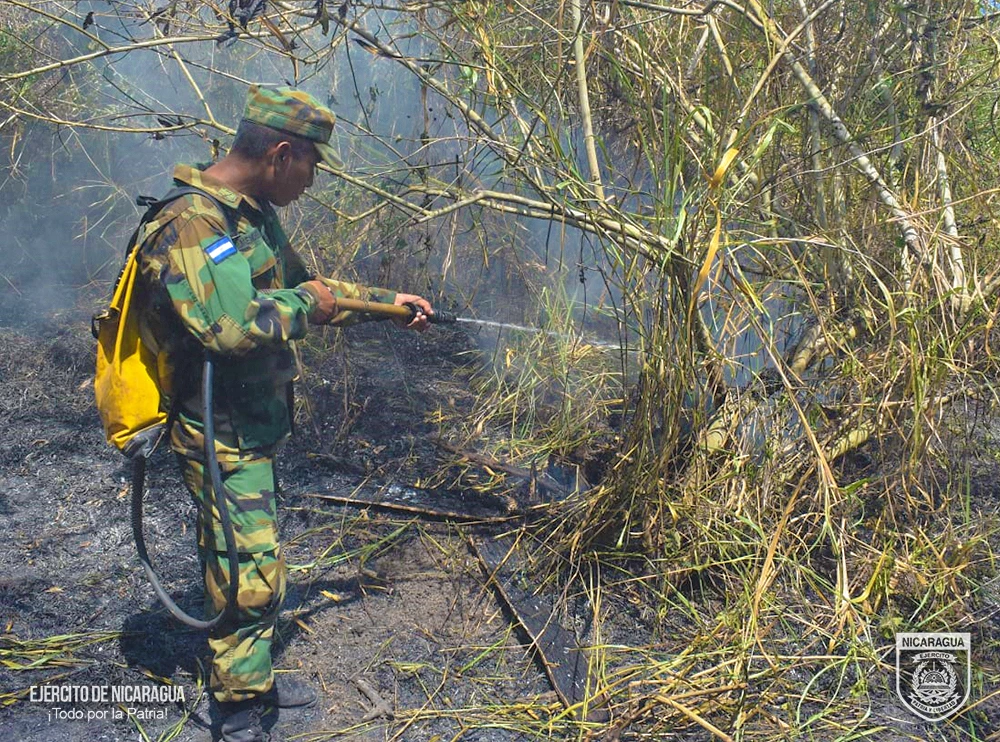 INCENDIO6