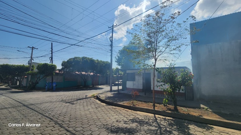 Fumigacion-9