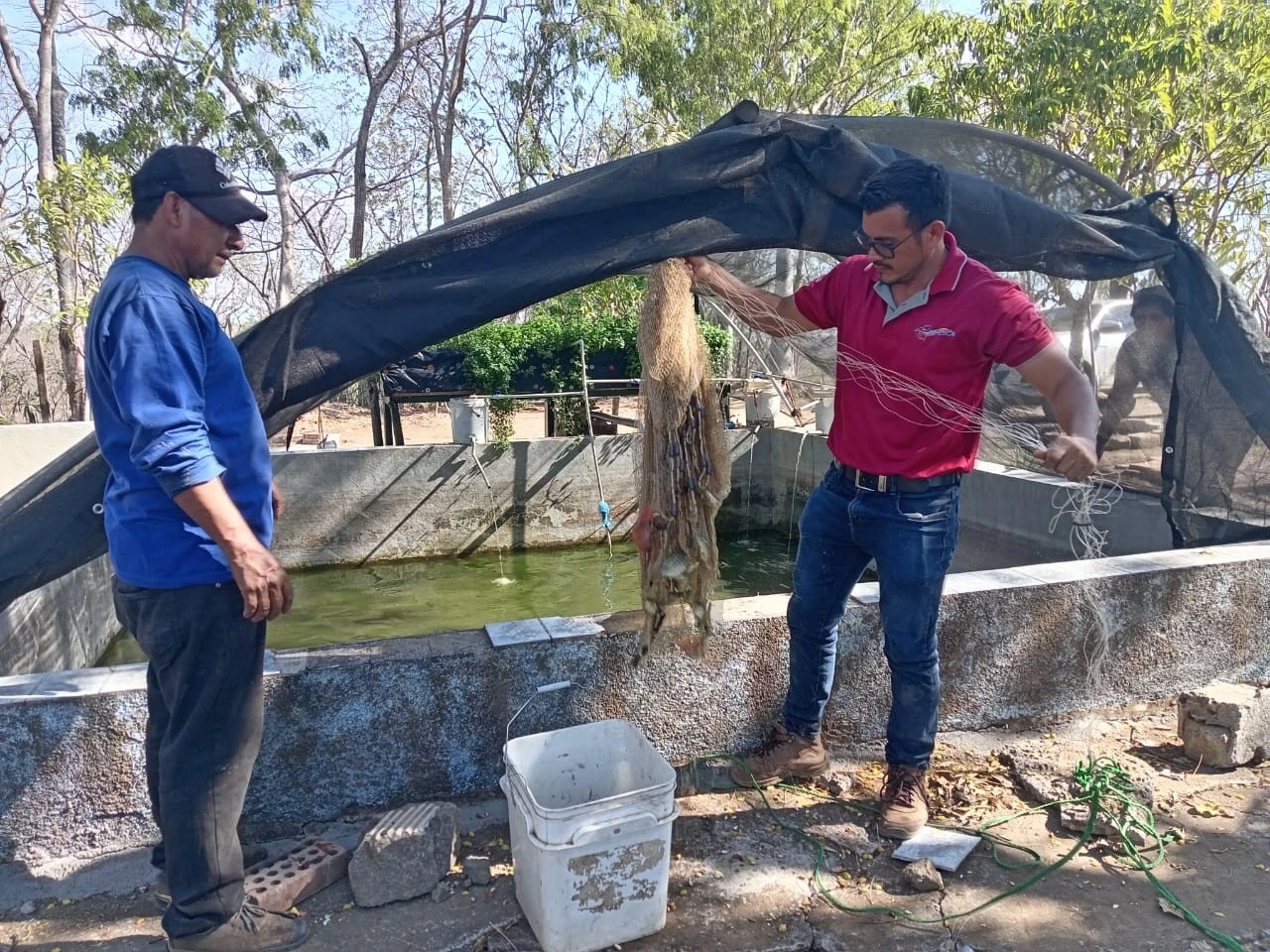 INPESCA17