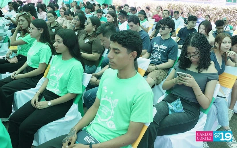 VERDES11