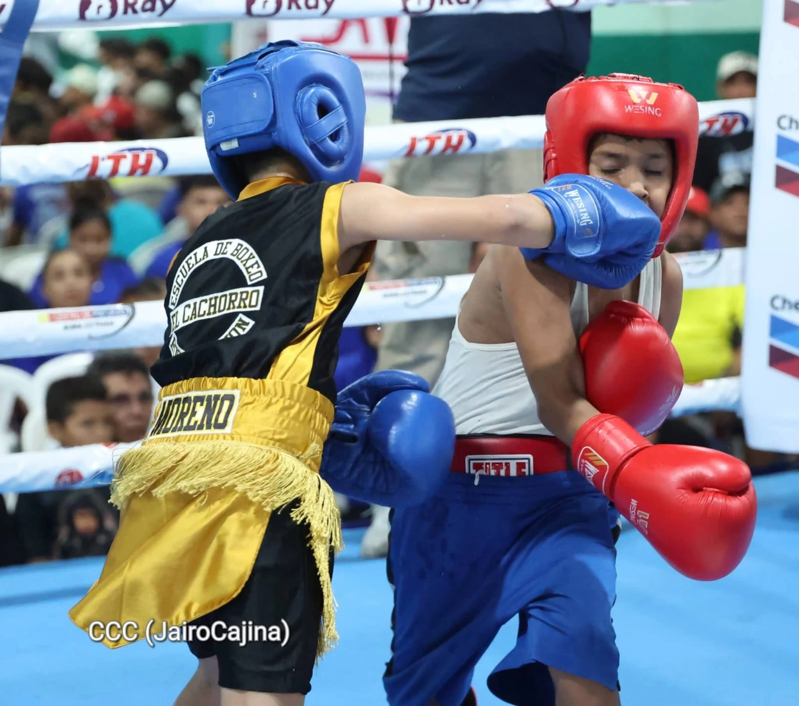 BOXEO-(10)