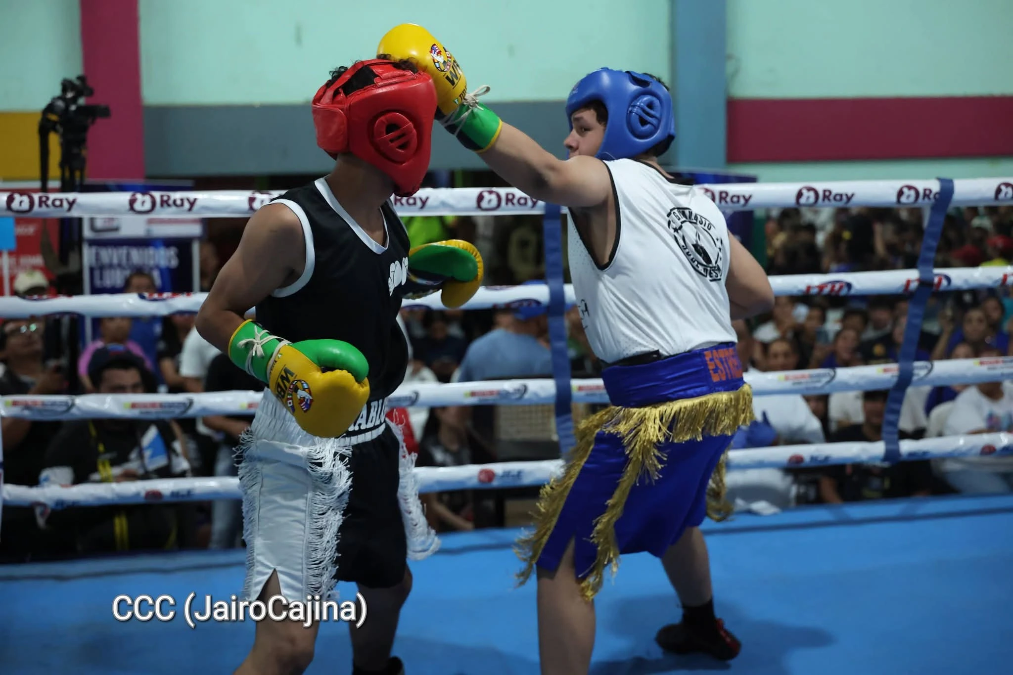 BOXEO-(17)